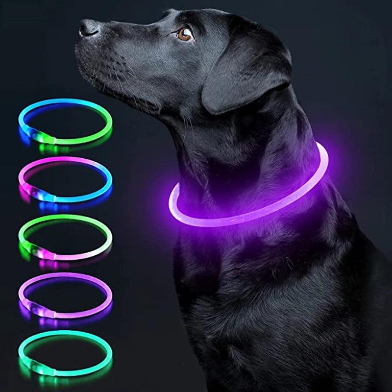 LED Luminous USB Dog Collar – Safe & Rechargeable