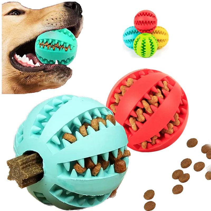 PawPlay Pro – Interactive Ball for a Happy & Healthy Dog