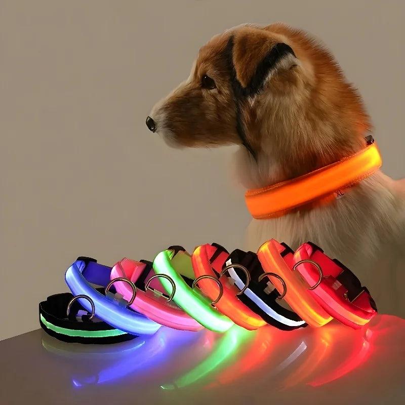 LED Nylon Glow Dog Collar – Adjustable & Rechargeable